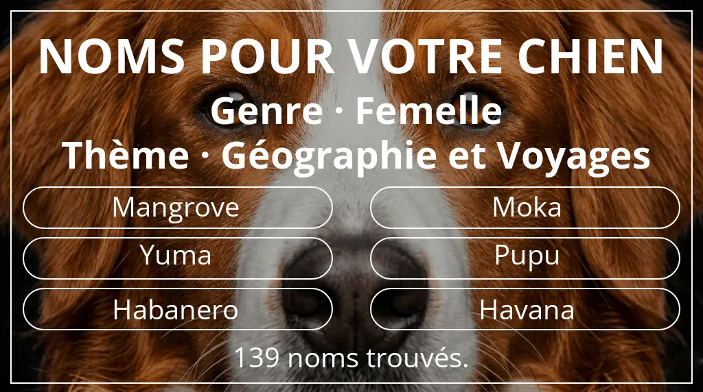 Noms de chiens inspirés de genre femelle et thème géographie et voyages