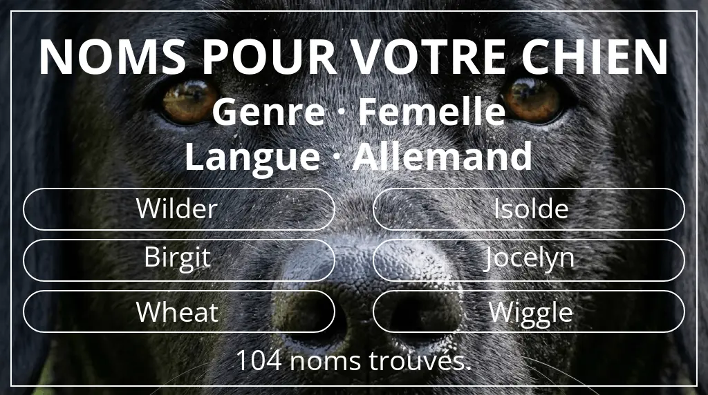 Noms de chiens inspirés de genre femelle et langue allemand