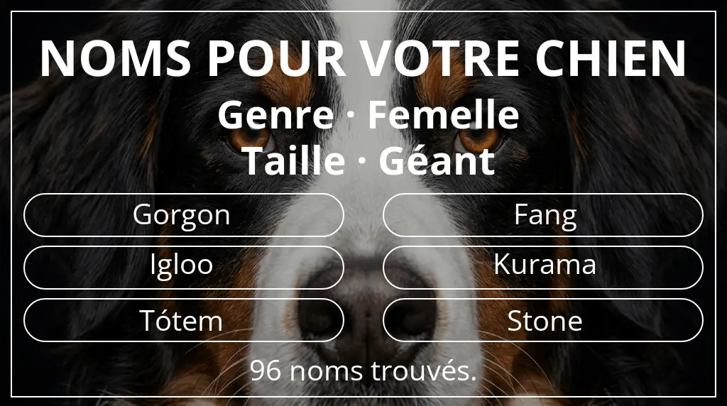 Noms de chiens inspirés de genre femelle et taille géant