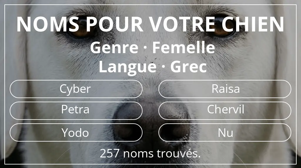 Noms pour chiens basés sur genre femelle et langue grec