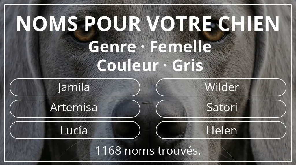 Noms de chiens inspirés de genre femelle et couleur gris