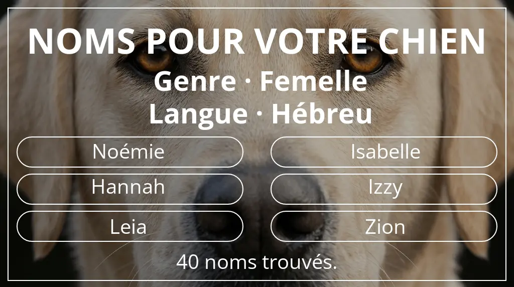 Noms pour chiens basés sur genre femelle et langue hébreu