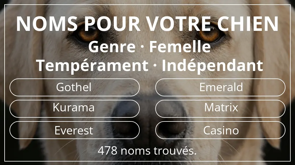 Noms de chiens basés sur genre femelle et tempérament indépendant