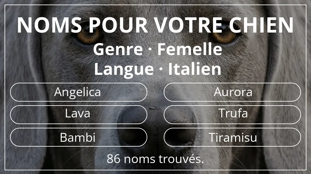 Noms pour chiens inspirés de genre femelle et langue italien