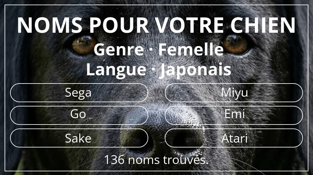 Noms de chiens basés sur genre femelle et langue japonais