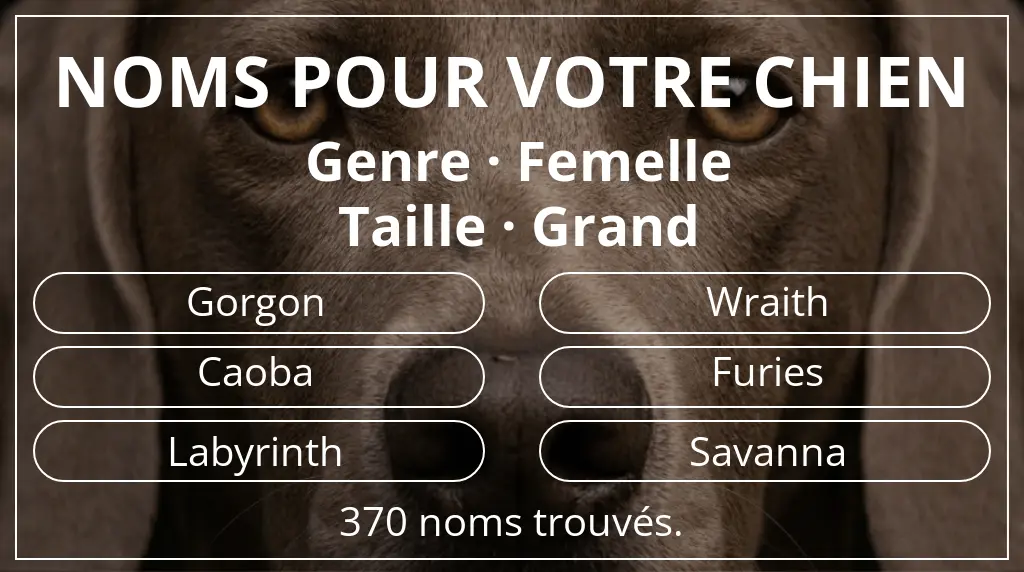 Noms pour chiens inspirés de genre femelle et taille grand
