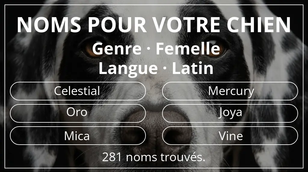 Noms de chiens basés sur genre femelle et langue latin
