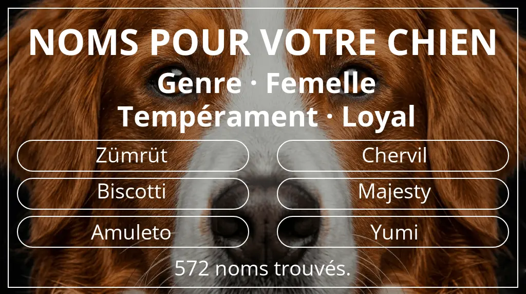 Noms pour chiens basés sur genre femelle et tempérament loyal