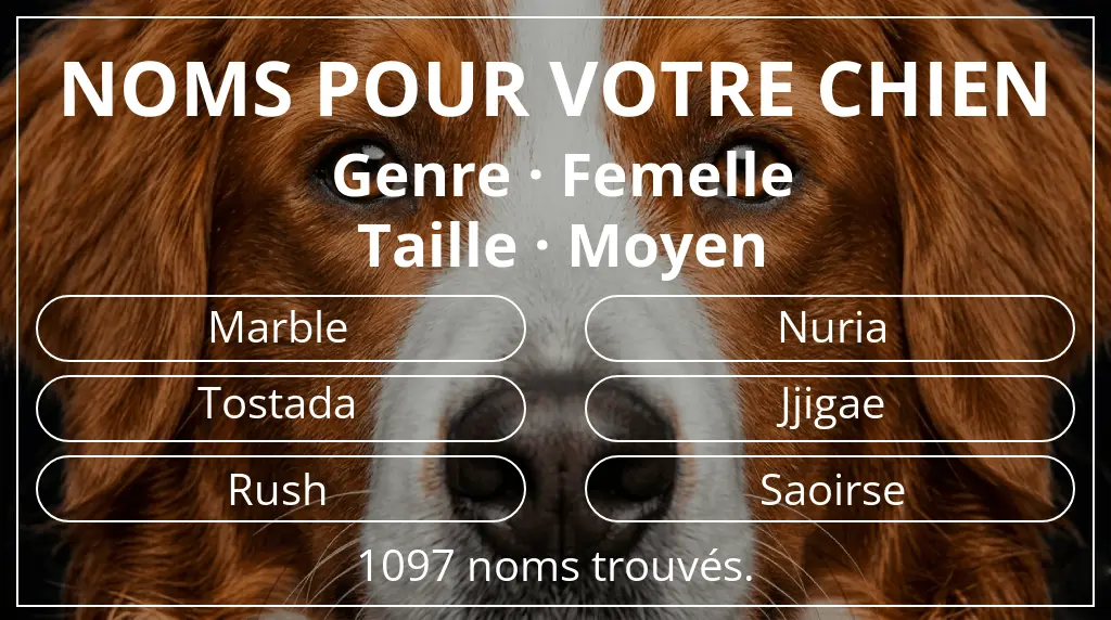 Noms pour chiens inspirés de genre femelle et taille moyen