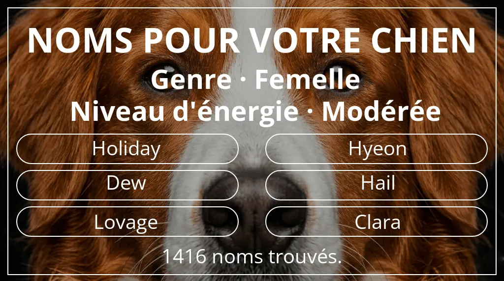 Noms de chiens inspirés de genre femelle et niveau d'énergie modérée