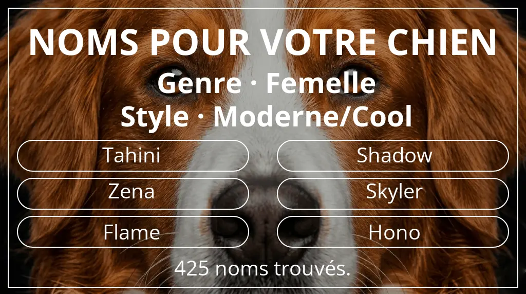 Noms pour chiens inspirés de genre femelle et style moderne/cool