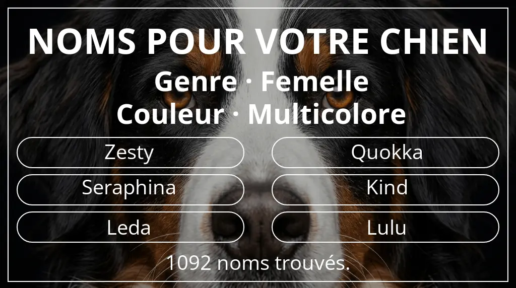 Noms de chiens basés sur genre femelle et couleur multicolore
