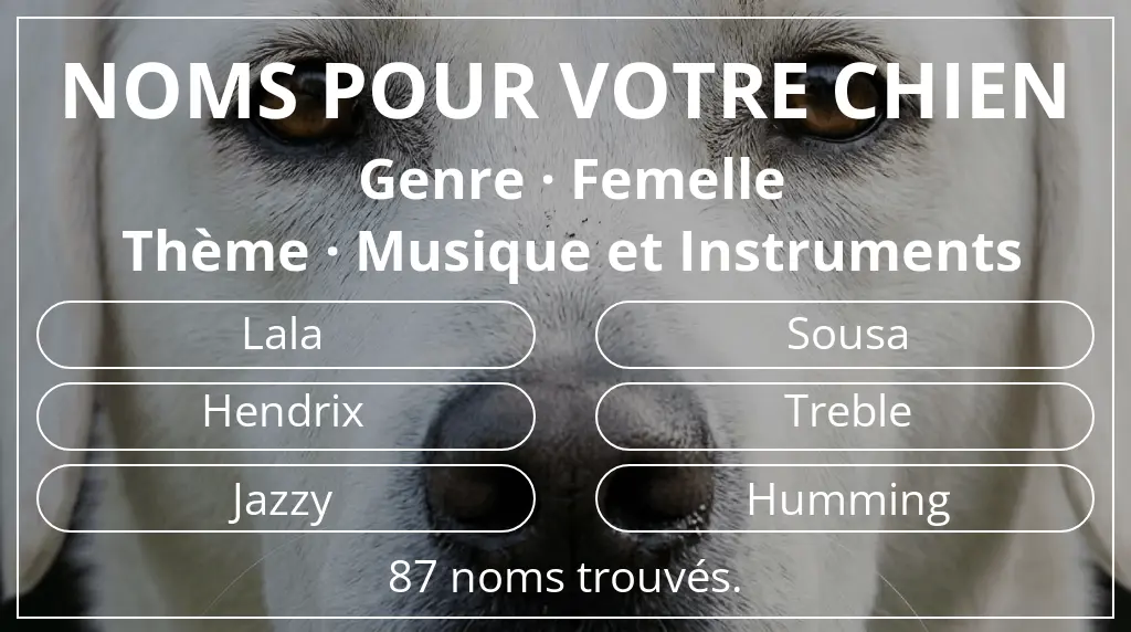 Noms pour chiens inspirés de genre femelle et thème musique et instruments
