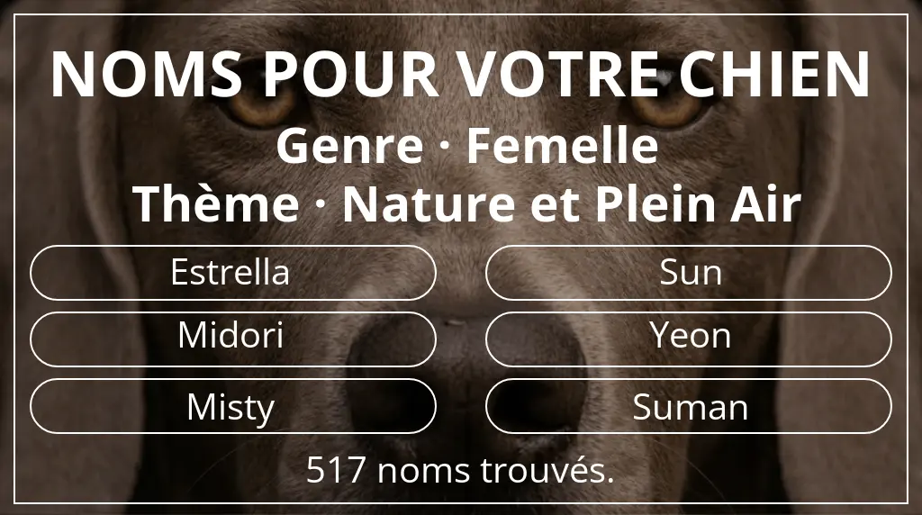 Noms de chiens inspirés de genre femelle et thème nature et plein air