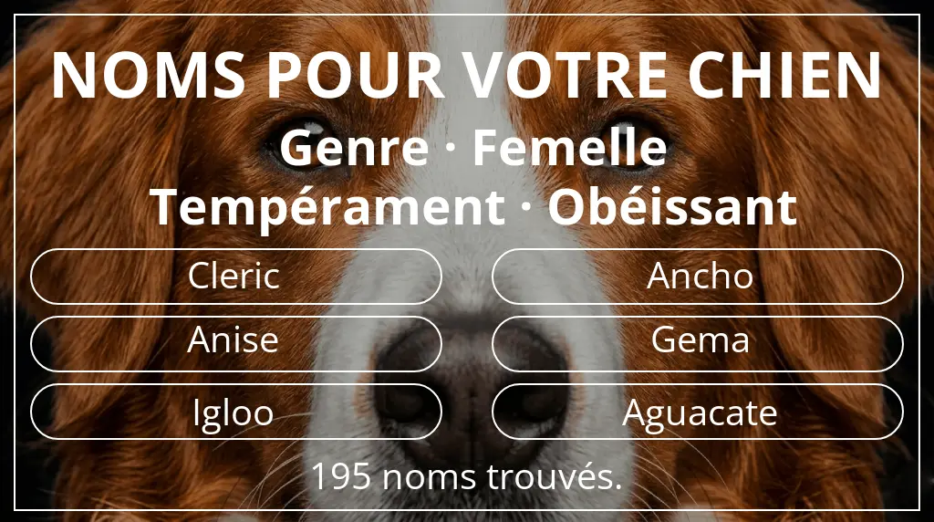 Noms pour chiens inspirés de genre femelle et tempérament obéissant