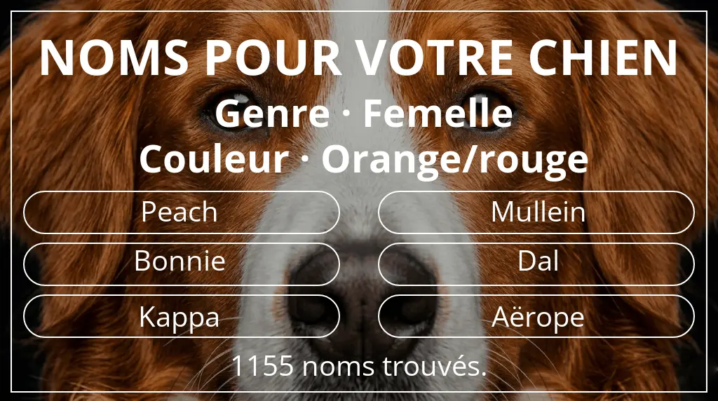 Noms de chiens basés sur genre femelle et couleur orange/rouge