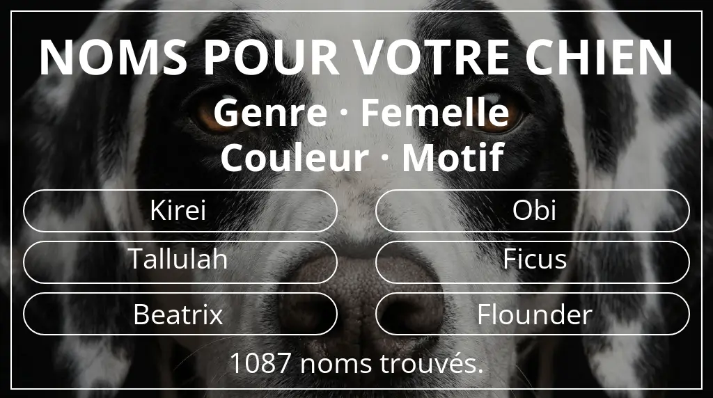 Noms pour chiens basés sur genre femelle et couleur motif