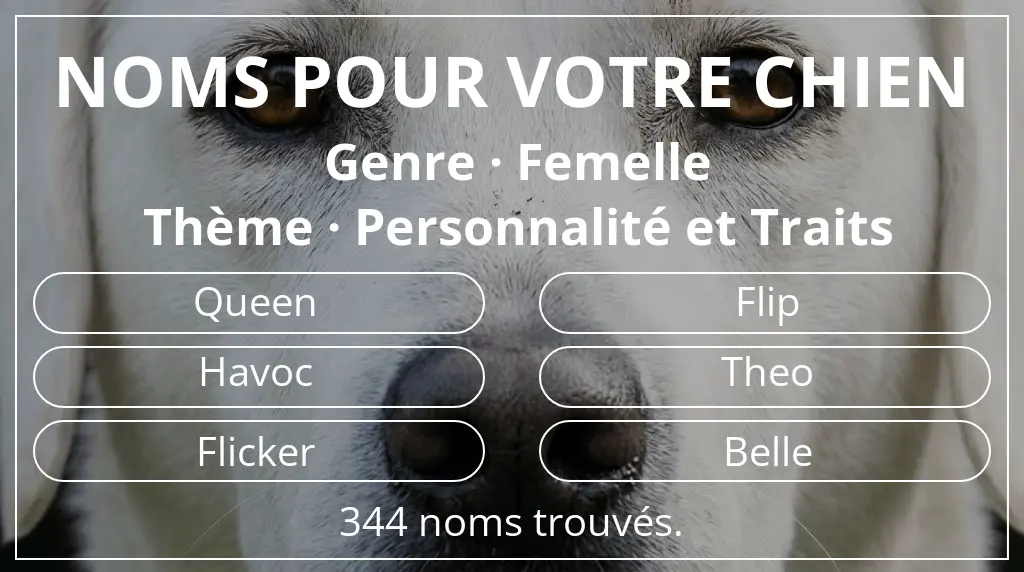 Noms pour chiens inspirés de genre femelle et thème personnalité et traits
