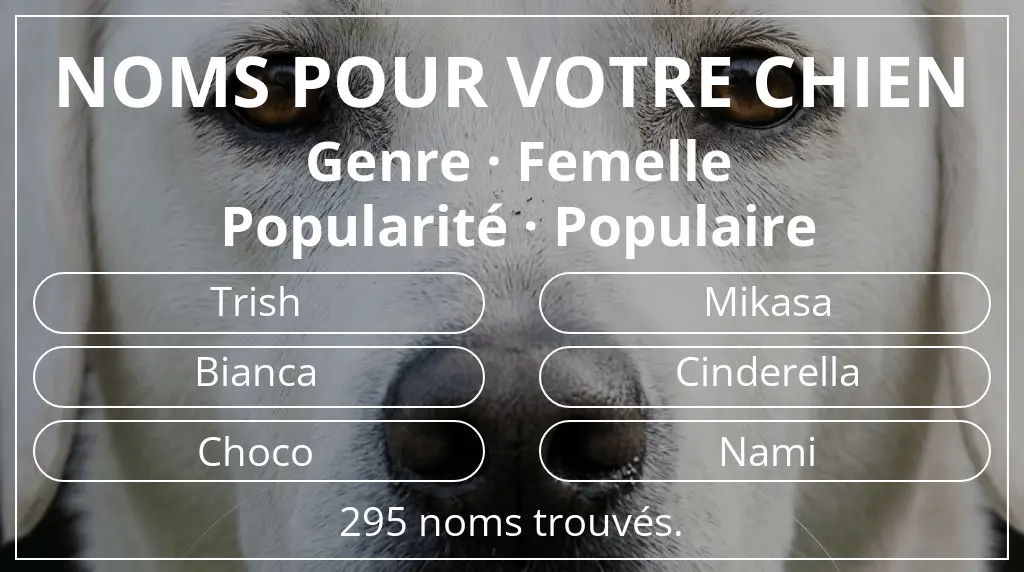 Noms pour chiens inspirés de genre femelle et popularité populaire