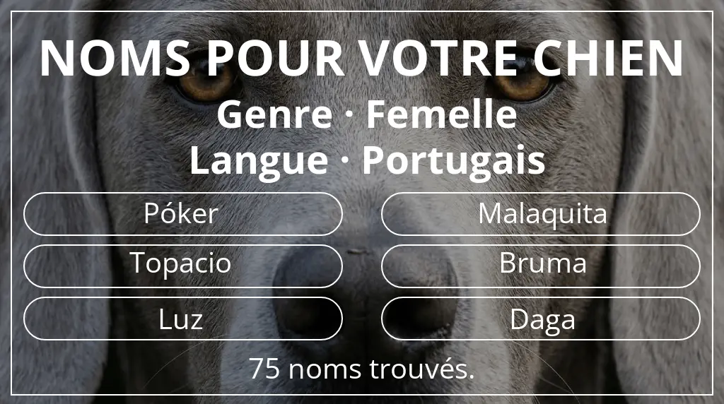 Noms de chiens inspirés de genre femelle et langue portugais