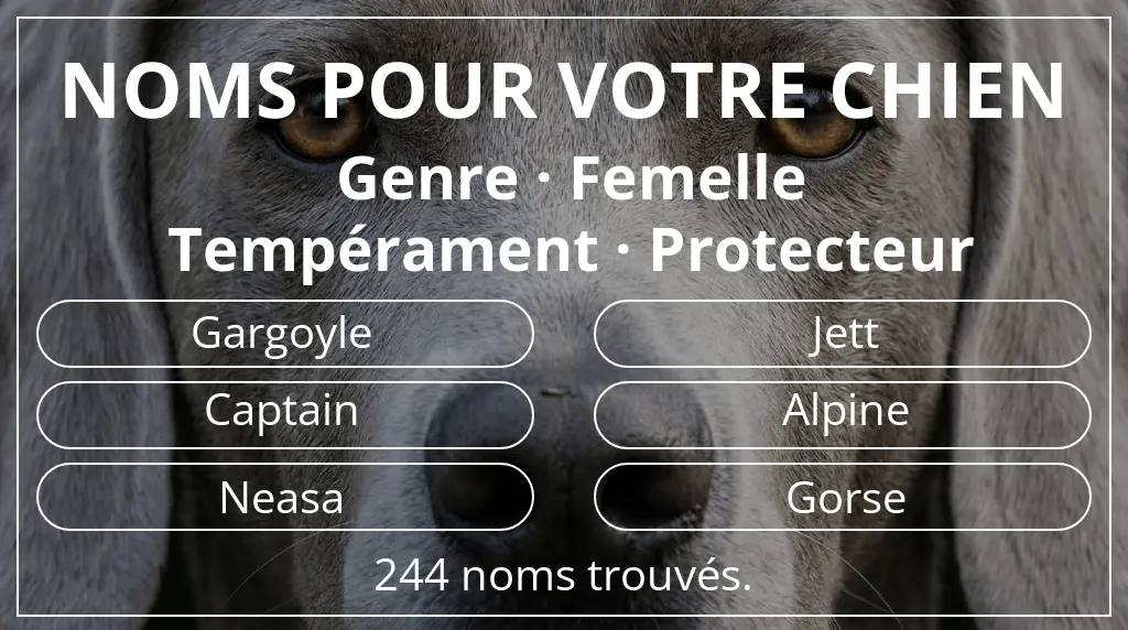 Noms pour chiens inspirés de genre femelle et tempérament protecteur