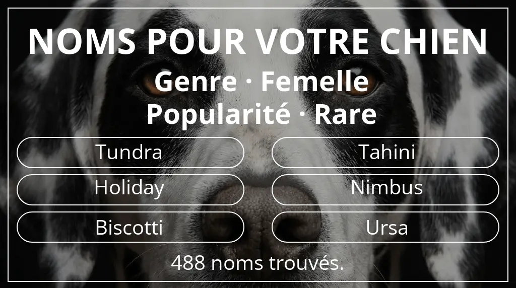 Noms de chiens inspirés de genre femelle et popularité rare