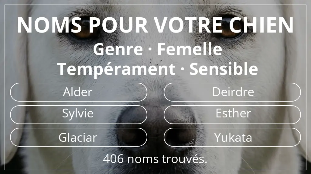 Noms pour chiens basés sur genre femelle et tempérament sensible