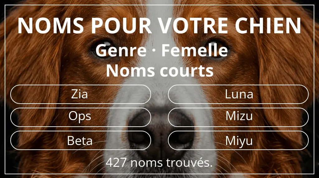 Noms de chiens inspirés de genre femelle et longueur du nom court (2 à 4)