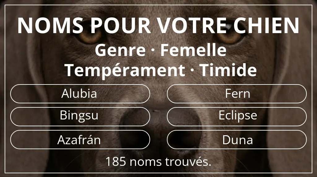 Noms pour chiens inspirés de genre femelle et tempérament timide