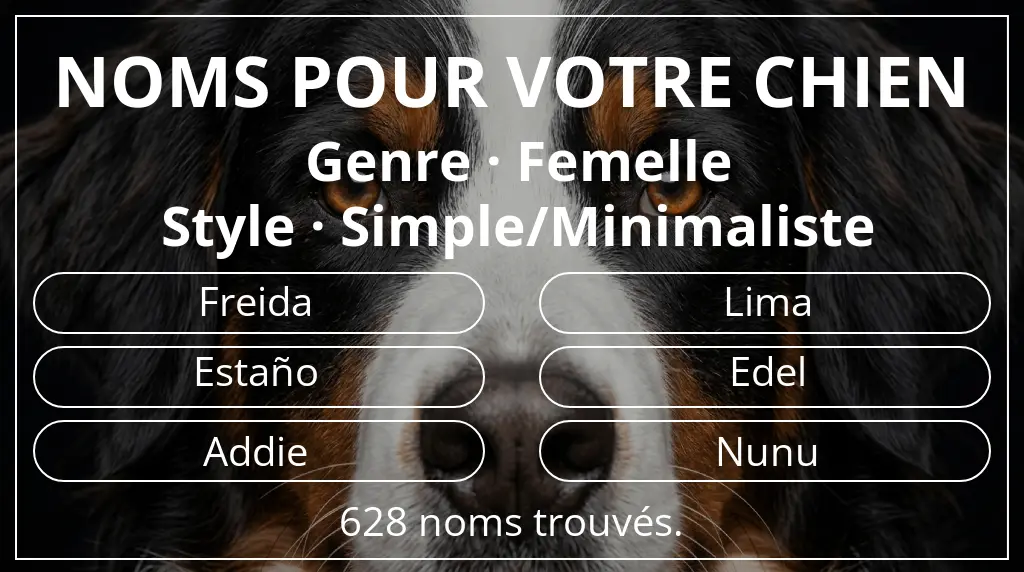 Noms de chiens inspirés de genre femelle et style simple/minimaliste