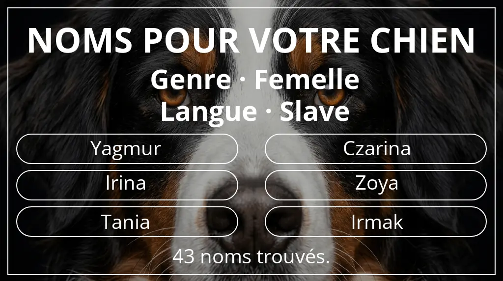 Noms pour chiens inspirés de genre femelle et langue slave