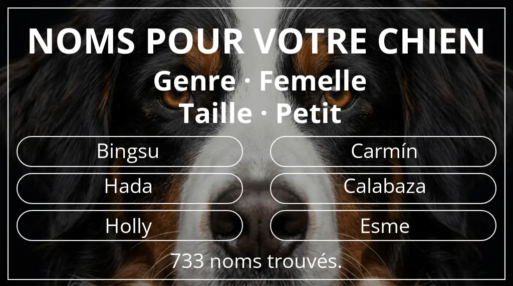 Noms de chiens inspirés de genre femelle et taille petit