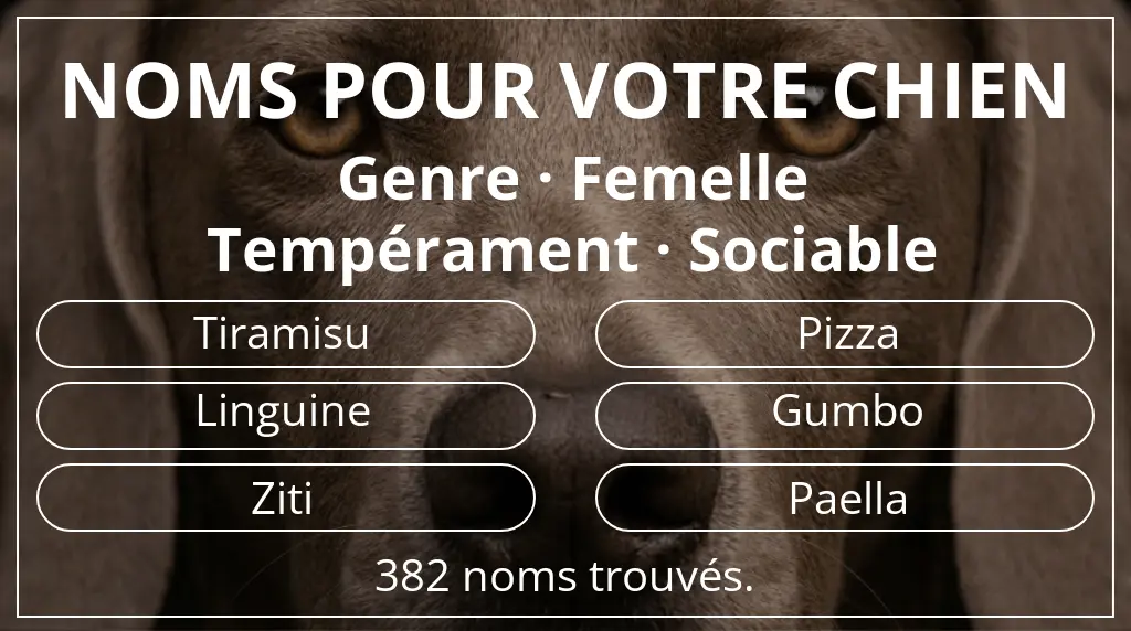 Noms de chiens basés sur genre femelle et tempérament sociable