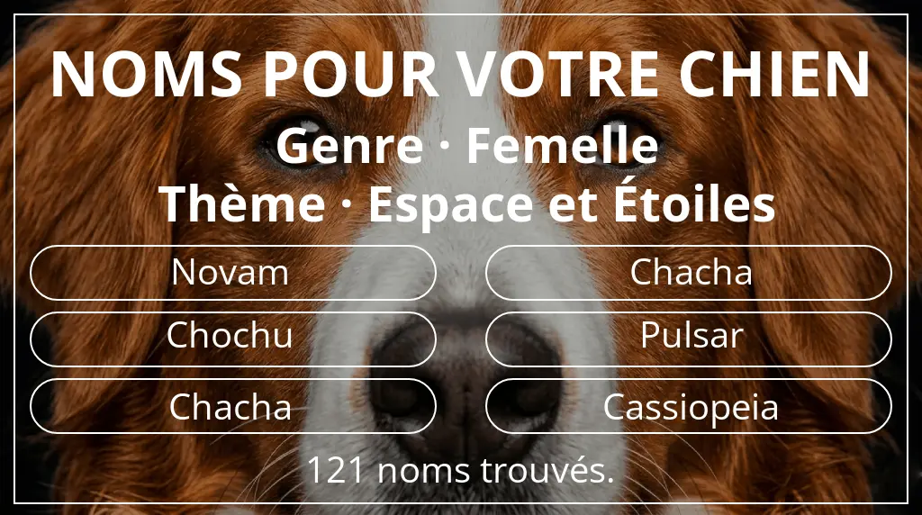 Noms de chiens basés sur genre femelle et thème espace et étoiles