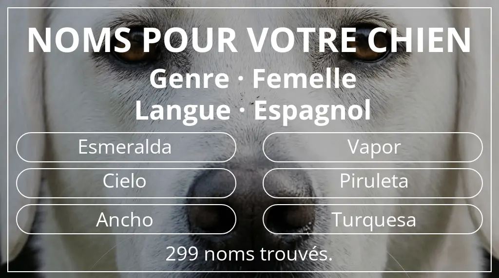 Noms de chiens basés sur genre femelle et langue espagnol