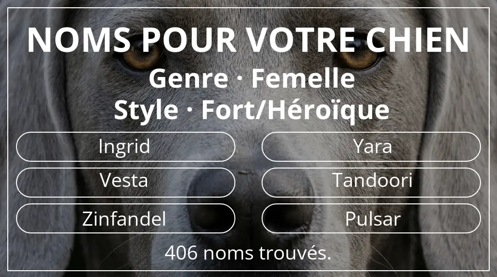 Noms de chiens inspirés de genre femelle et style fort/héroïque