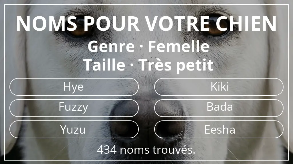 Noms pour chiens basés sur genre femelle et taille très petit