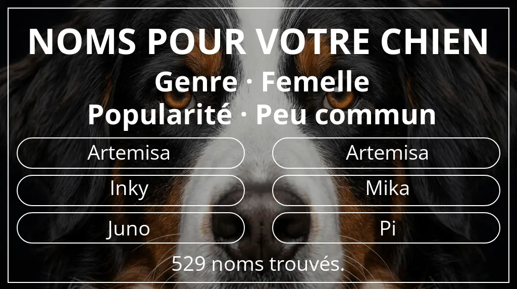 Noms de chiens inspirés de genre femelle et popularité peu commun