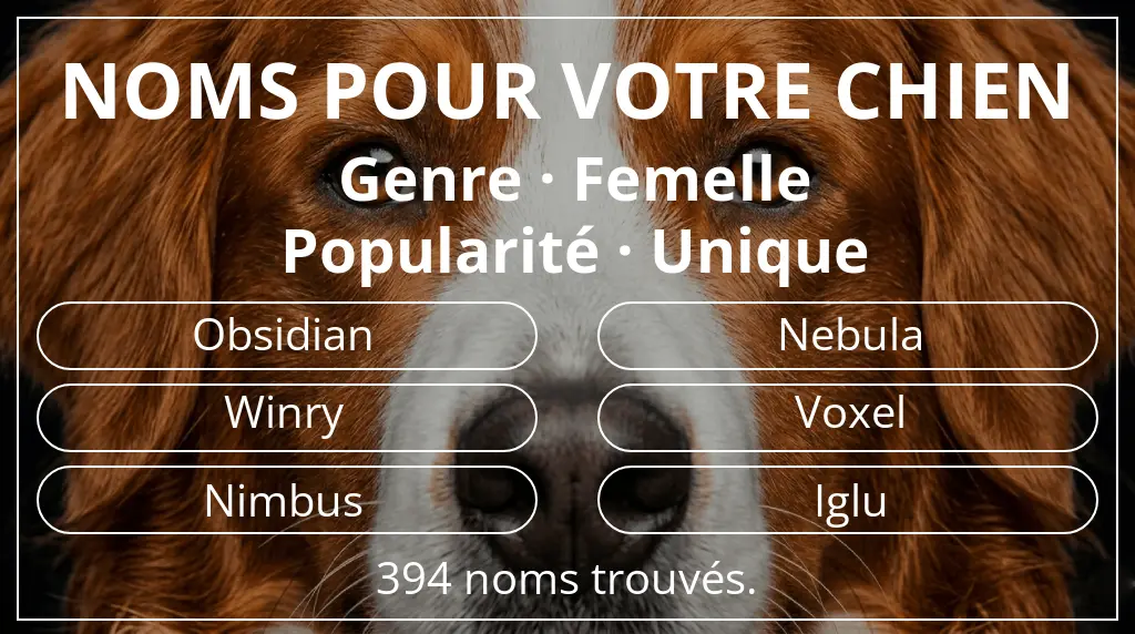 Noms de chiens basés sur genre femelle et popularité unique