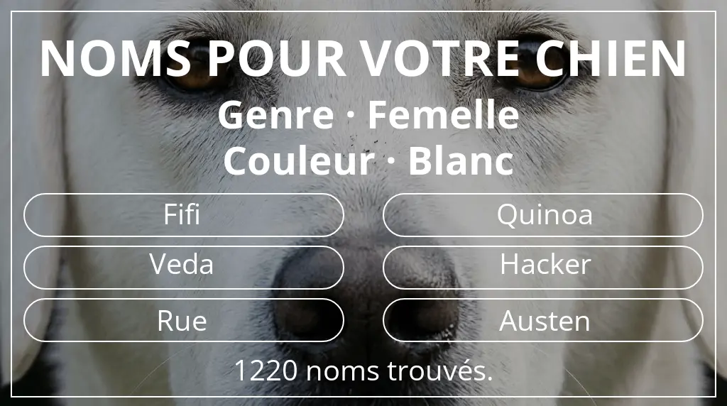 Noms de chiens inspirés de genre femelle et couleur blanc