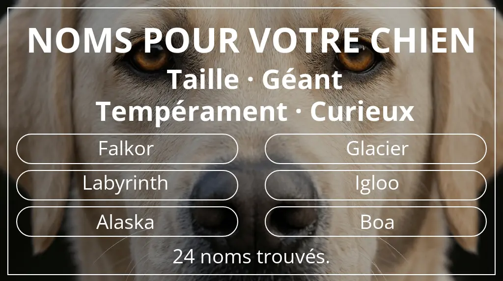 Noms pour chiens basés sur taille géant et tempérament curieux
