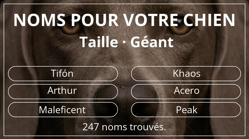 Noms pour chiens basés sur taille géant