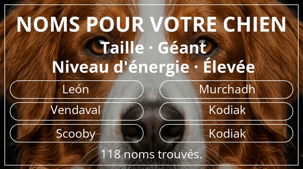 Noms pour chiens inspirés de taille géant et niveau d'énergie élevée