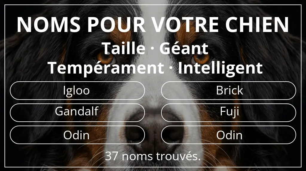 Noms de chiens inspirés de taille géant et tempérament intelligent