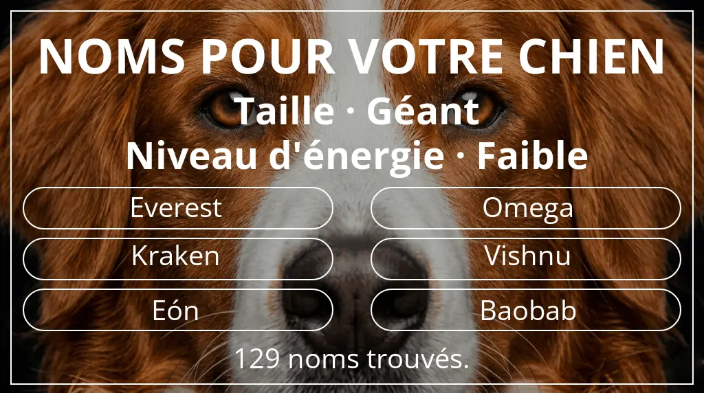 Noms de chiens basés sur taille géant et niveau d'énergie faible
