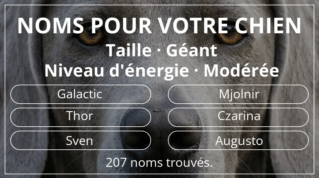 Noms pour chiens inspirés de taille géant et niveau d'énergie modérée