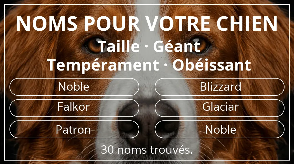 Noms pour chiens inspirés de taille géant et tempérament obéissant
