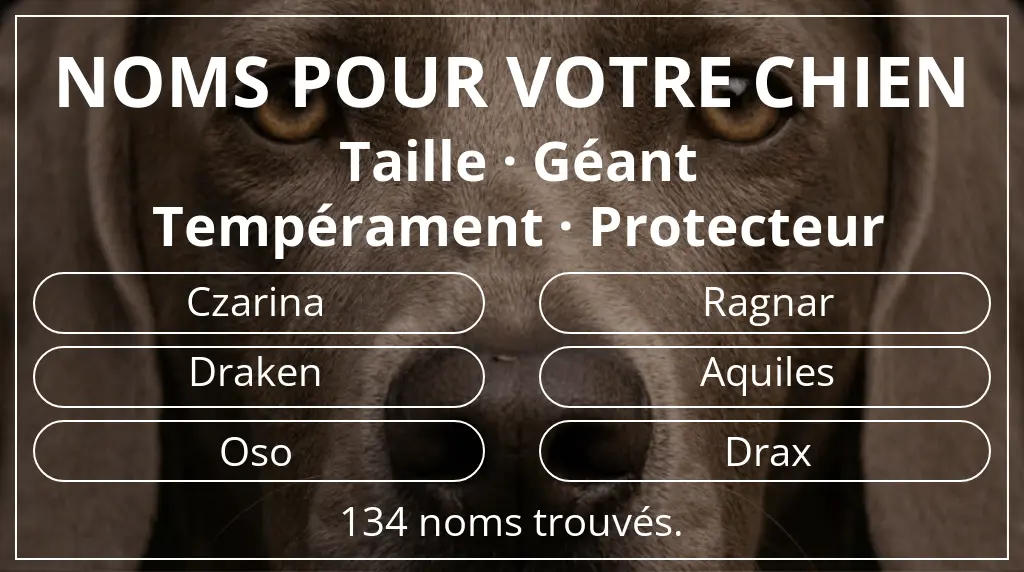 Noms pour chiens inspirés de taille géant et tempérament protecteur
