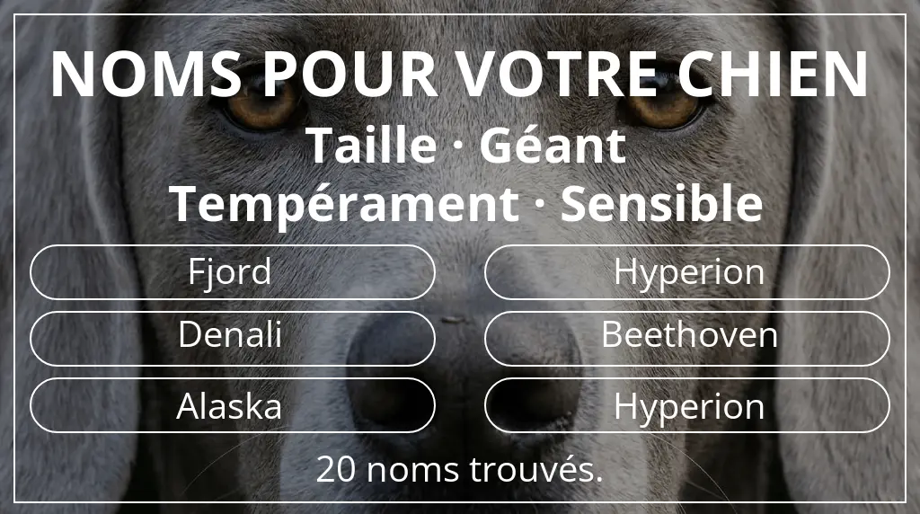 Noms de chiens basés sur taille géant et tempérament sensible
