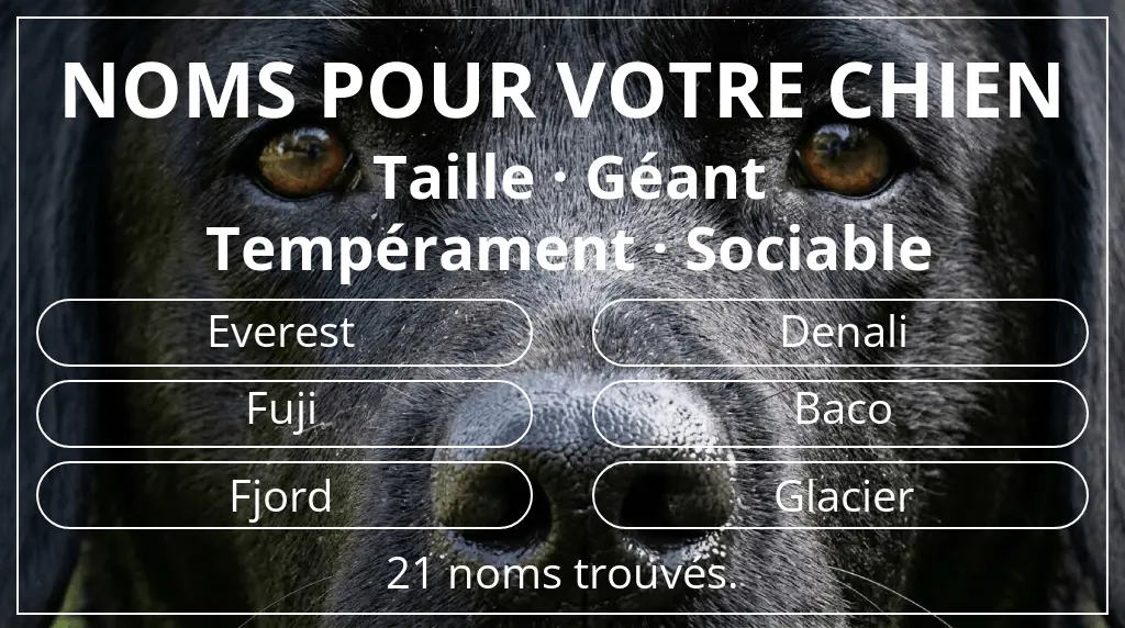 Noms de chiens basés sur taille géant et tempérament sociable